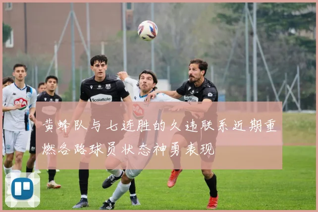 黄蜂队与七连胜的久违联系近期重燃各路球员状态神勇表现