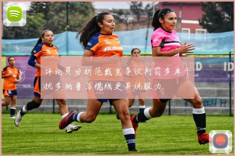 评论员分析范戴克争议判罚多库干扰多纳鲁马视线更具说服力